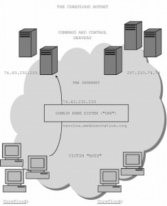 Sample network diagram of Coreflood, Source:FBI
