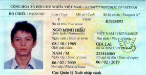 Vietnamese national Hieu Minh Ngo was sentenced to 13 years in prison for running an identity theft service.