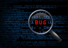 Software Bug