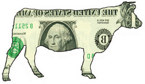 Cash Cow: Check out this primer on which companies are profiting from tax refund fraud.