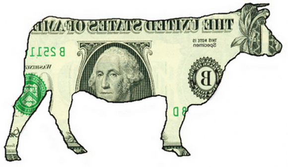 cashcow