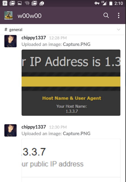 Webb, logged into the w00w00 DDoS discussion channel using his nickname "chippy1337," demonstrating that his mobile phone connection was being routed through the Internet address 1.3.3.7, which BackConnect BGP hijacked in July 2016.